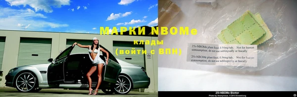 гашиш Богданович