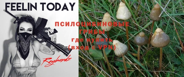 мет Белокуриха