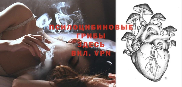 мет Белокуриха